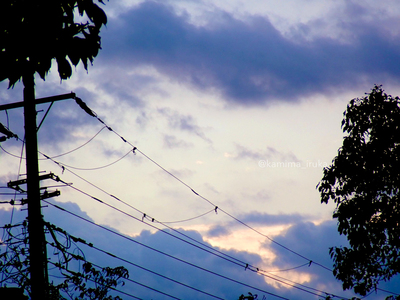 拡大表示する画像の選択