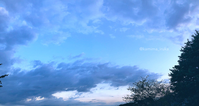 拡大表示する画像の選択