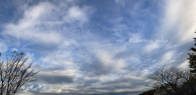 拡大表示する画像の選択