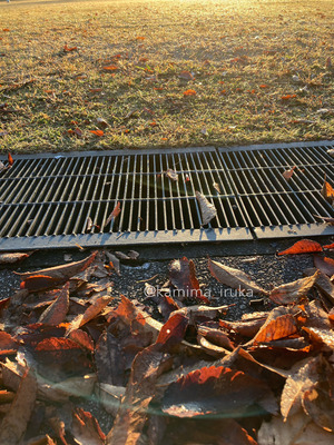 拡大表示する画像の選択