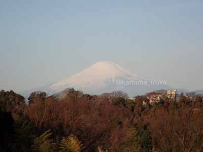 拡大表示する画像の選択