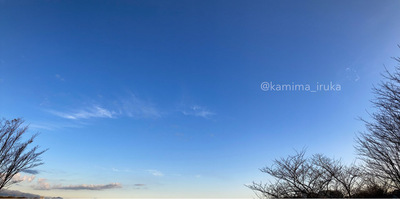 拡大表示する画像の選択