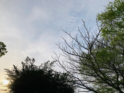 拡大表示する画像の選択