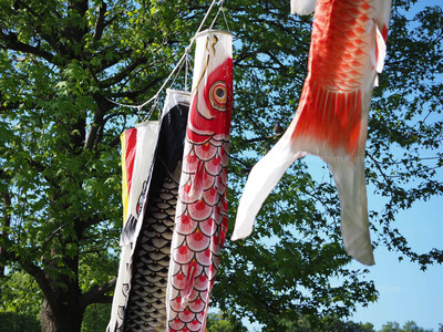 拡大表示する画像の選択