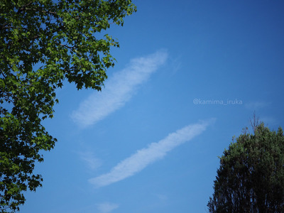 拡大表示する画像の選択