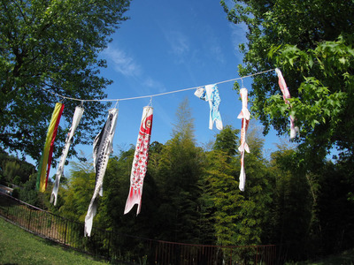 拡大表示する画像の選択