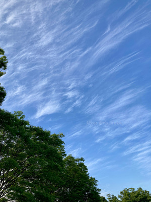 拡大表示する画像の選択