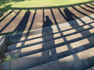 拡大表示する画像の選択