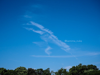 拡大表示する画像の選択