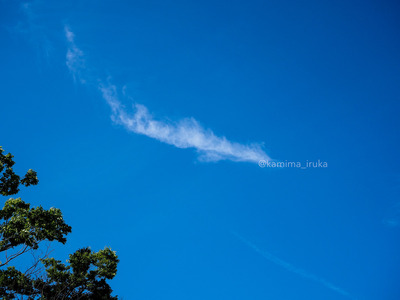 拡大表示する画像の選択