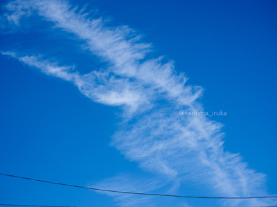 拡大表示する画像の選択