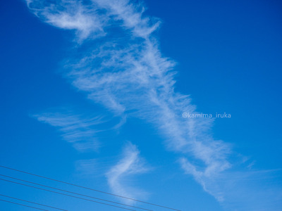 拡大表示する画像の選択