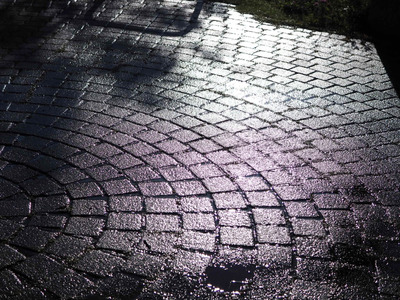 拡大表示する画像の選択