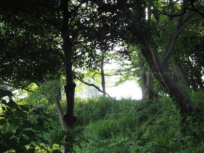 拡大表示する画像の選択