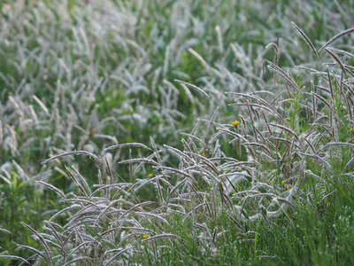 拡大表示する画像の選択