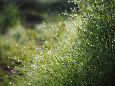 拡大表示する画像の選択