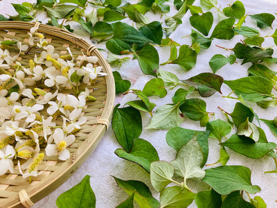 拡大表示する画像の選択