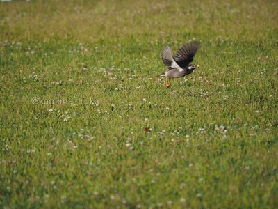 拡大表示する画像の選択