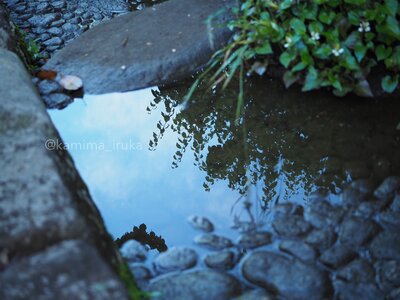 拡大表示する画像の選択