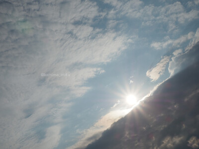 拡大表示する画像の選択