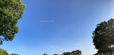 拡大表示する画像の選択