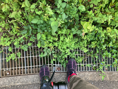 拡大表示する画像の選択