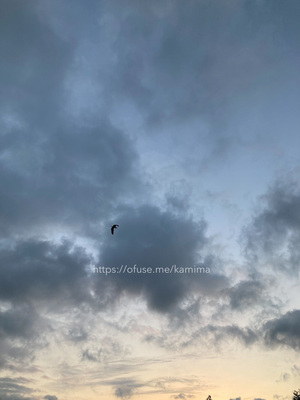 拡大表示する画像の選択