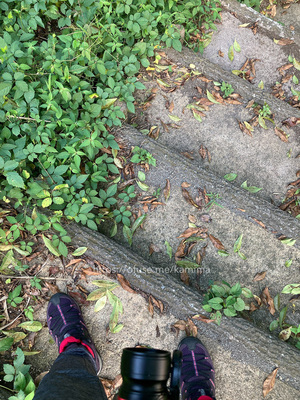 拡大表示する画像の選択